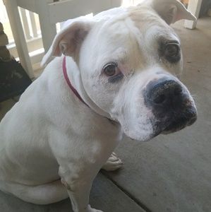 Meet your Posher, Joanna